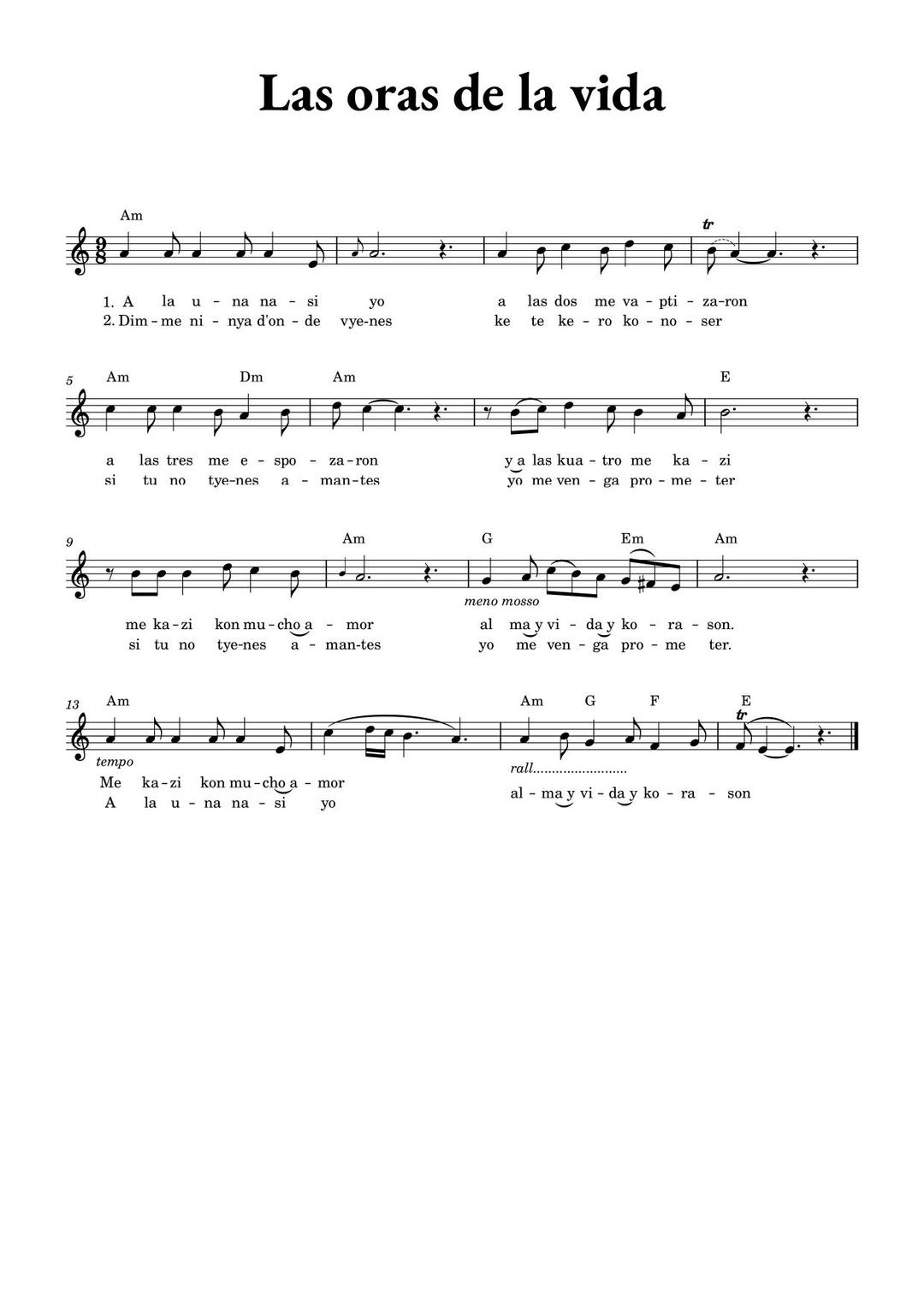 sheet